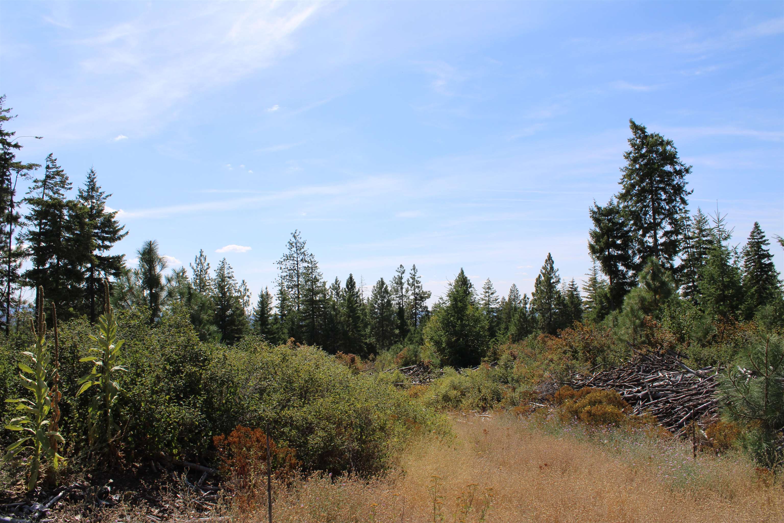 xxx Ellery Ranch Rd - Photo 1