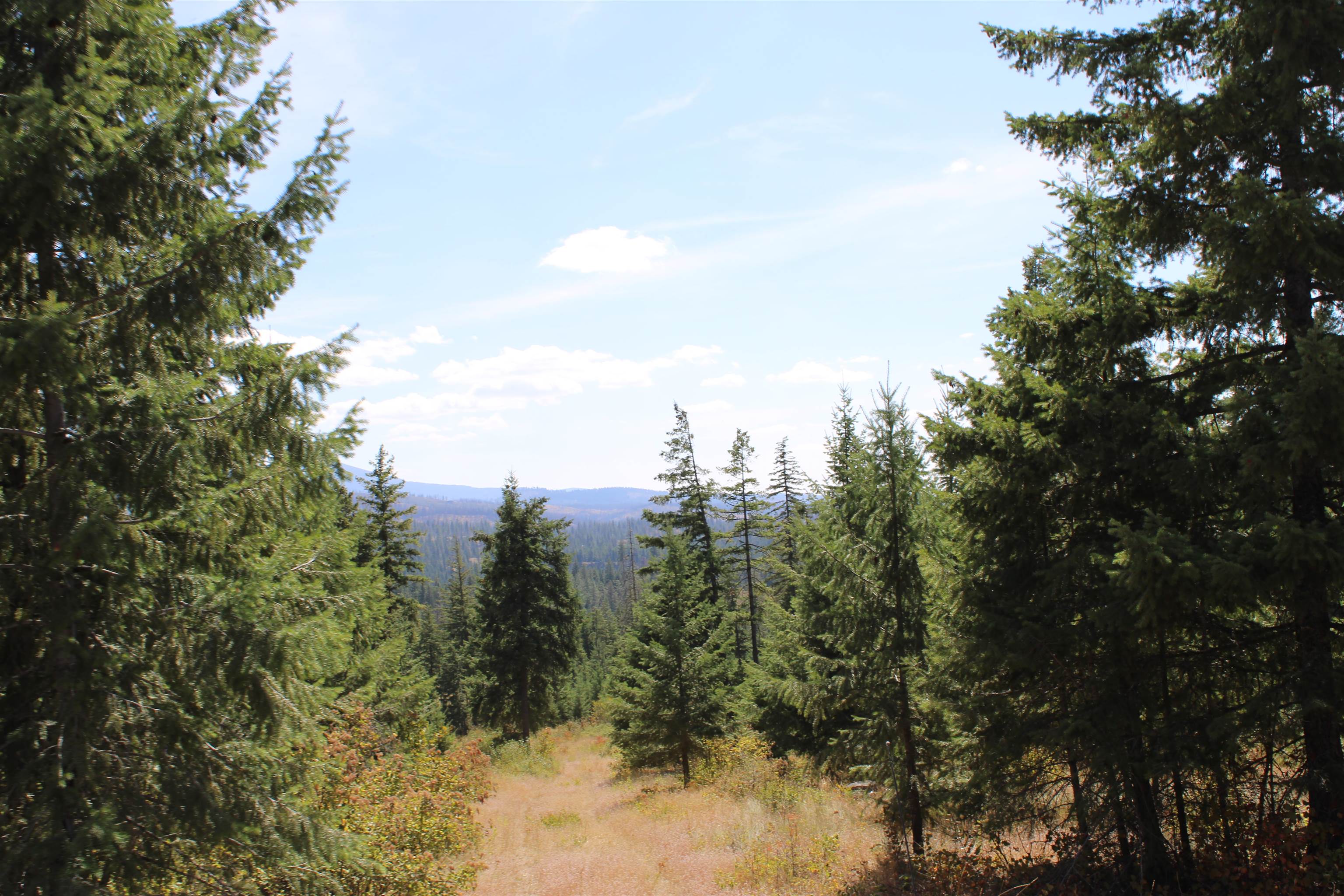 xxx Ellery Ranch Rd - Photo 11