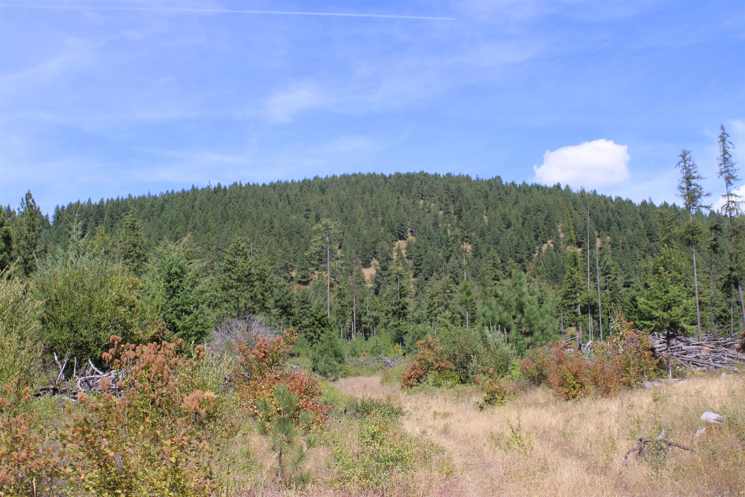 xxx Ellery Ranch Rd - Photo 16
