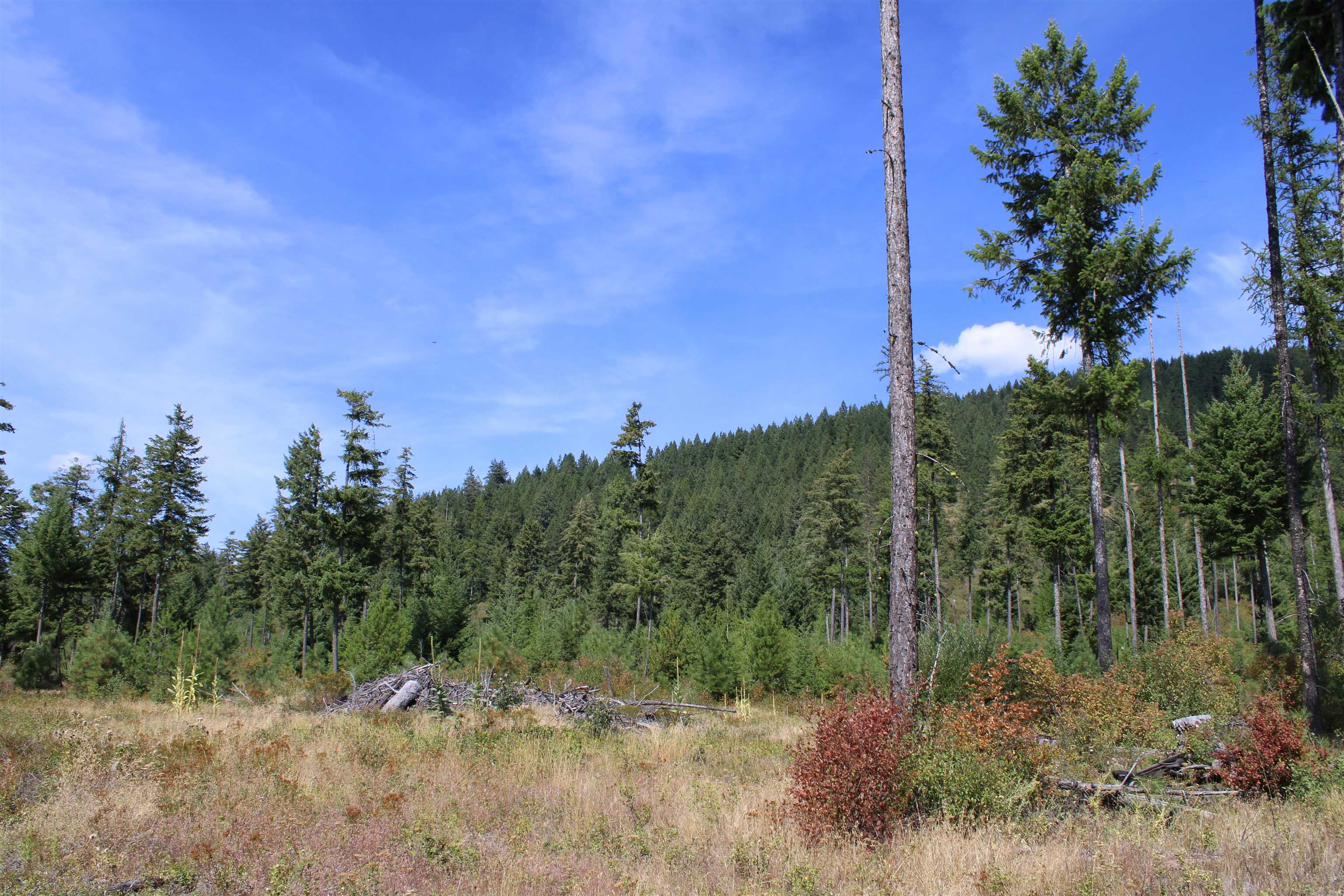 xxx Ellery Ranch Rd - Photo 4