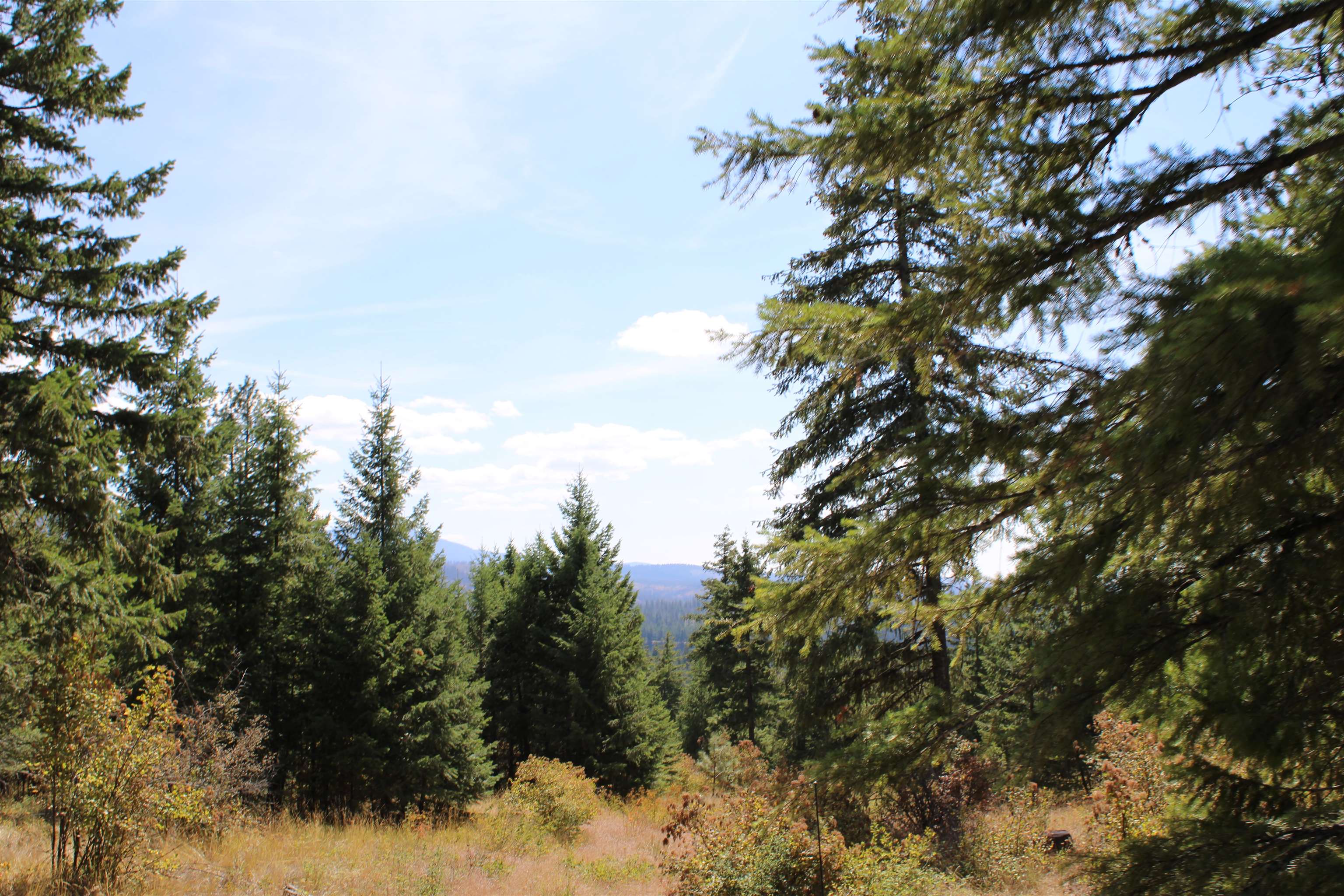 xxx Ellery Ranch Rd - Photo 6