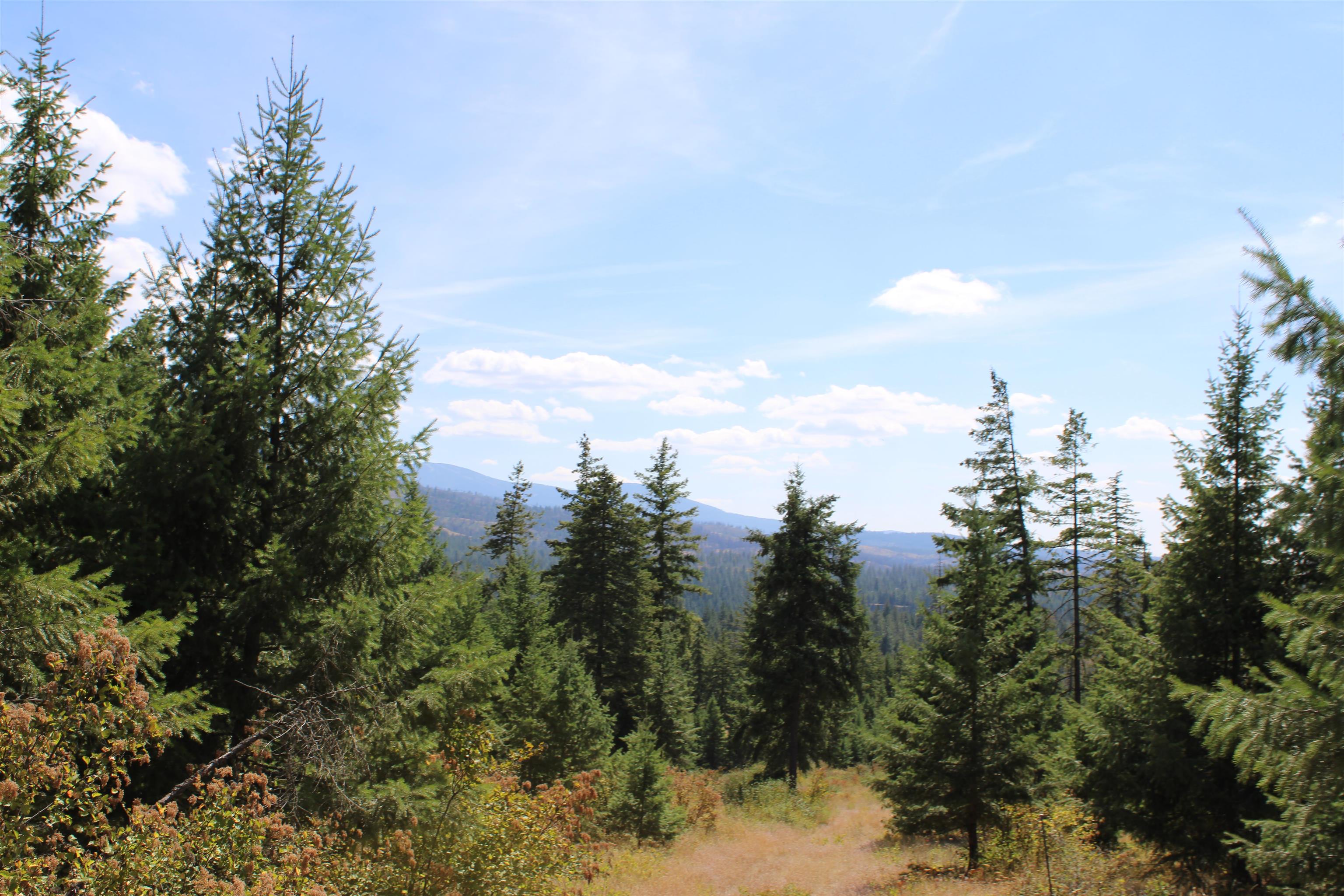 xxx Ellery Ranch Rd - Photo 7