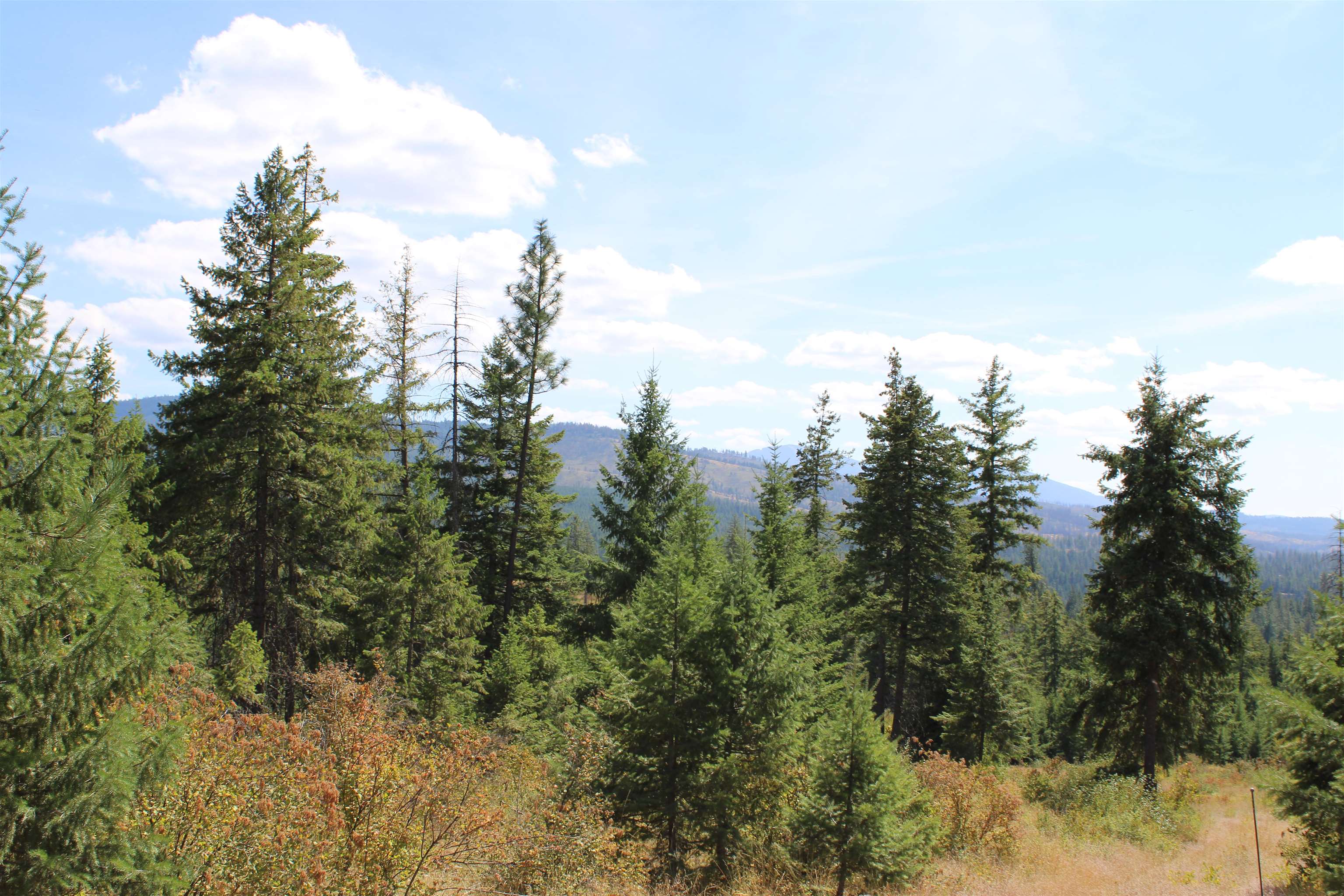 xxx Ellery Ranch Rd - Photo 8