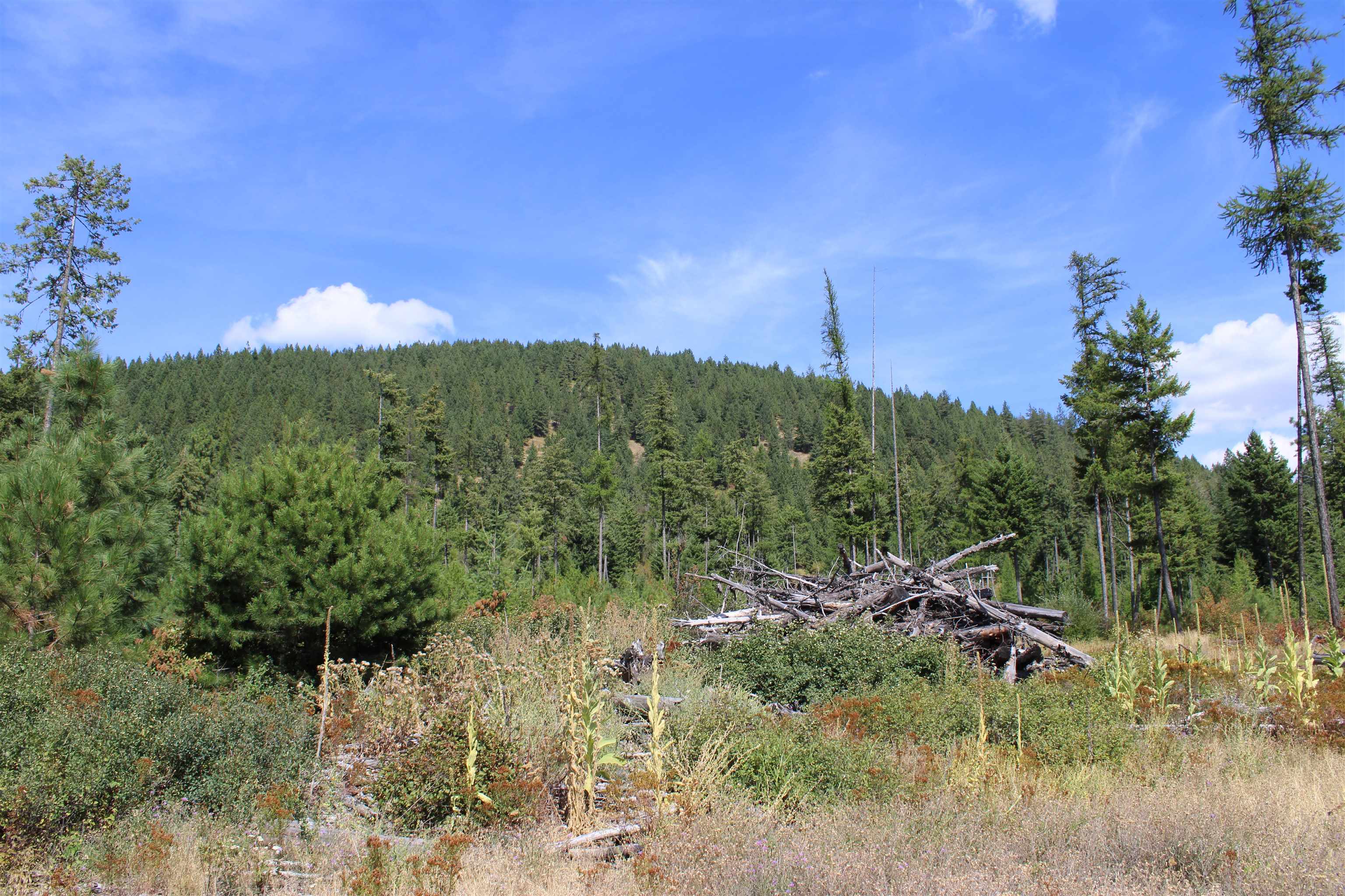 xxx Ellery Ranch Rd - Photo 9