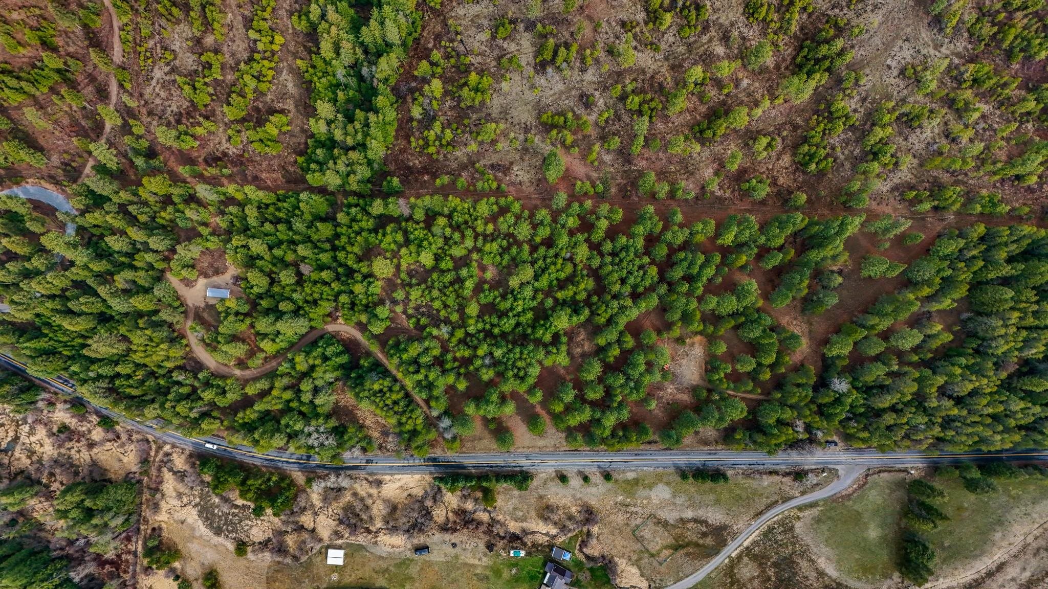23811 E Blanchard Rd - Photo 22
