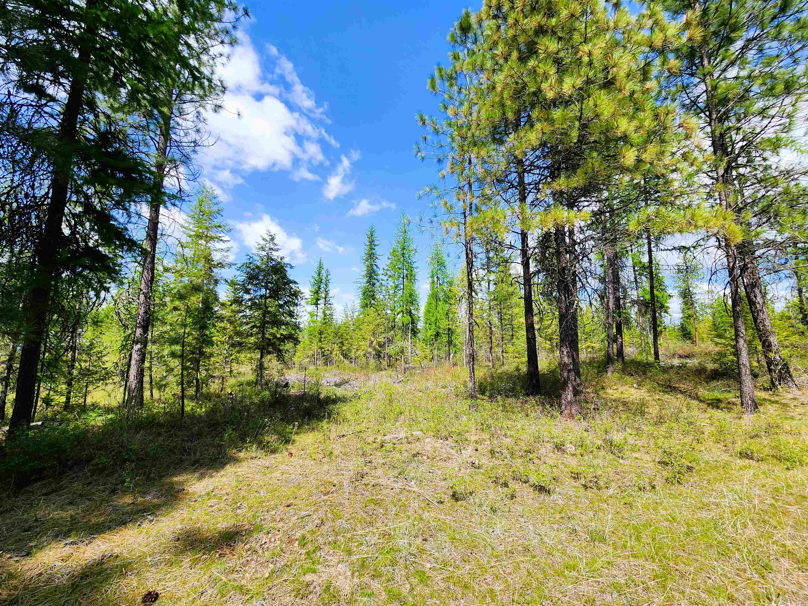 3669 E Jump Off Joe Rd - Photo 5