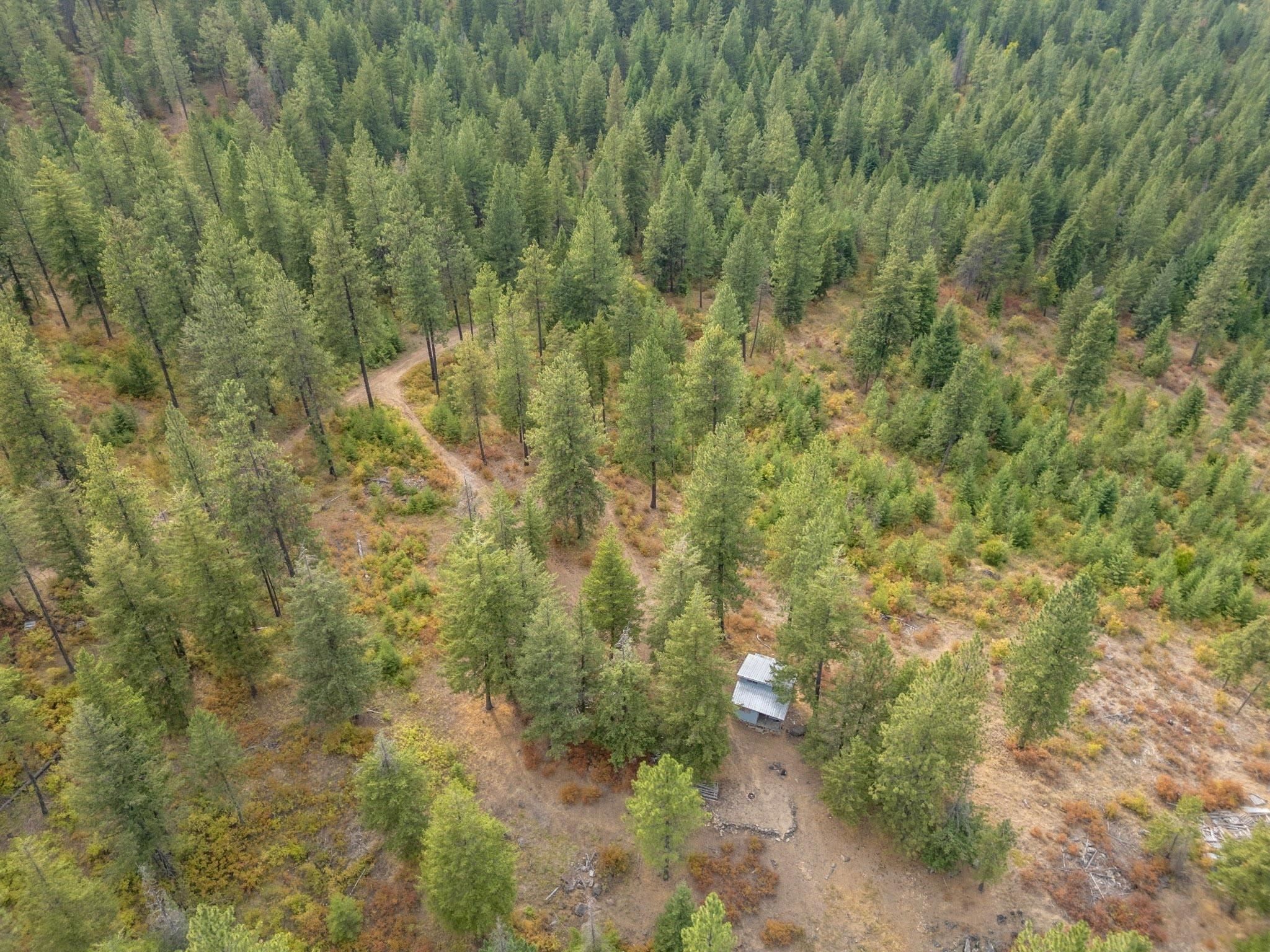 84XX Lodge Pole Ln - Photo 24