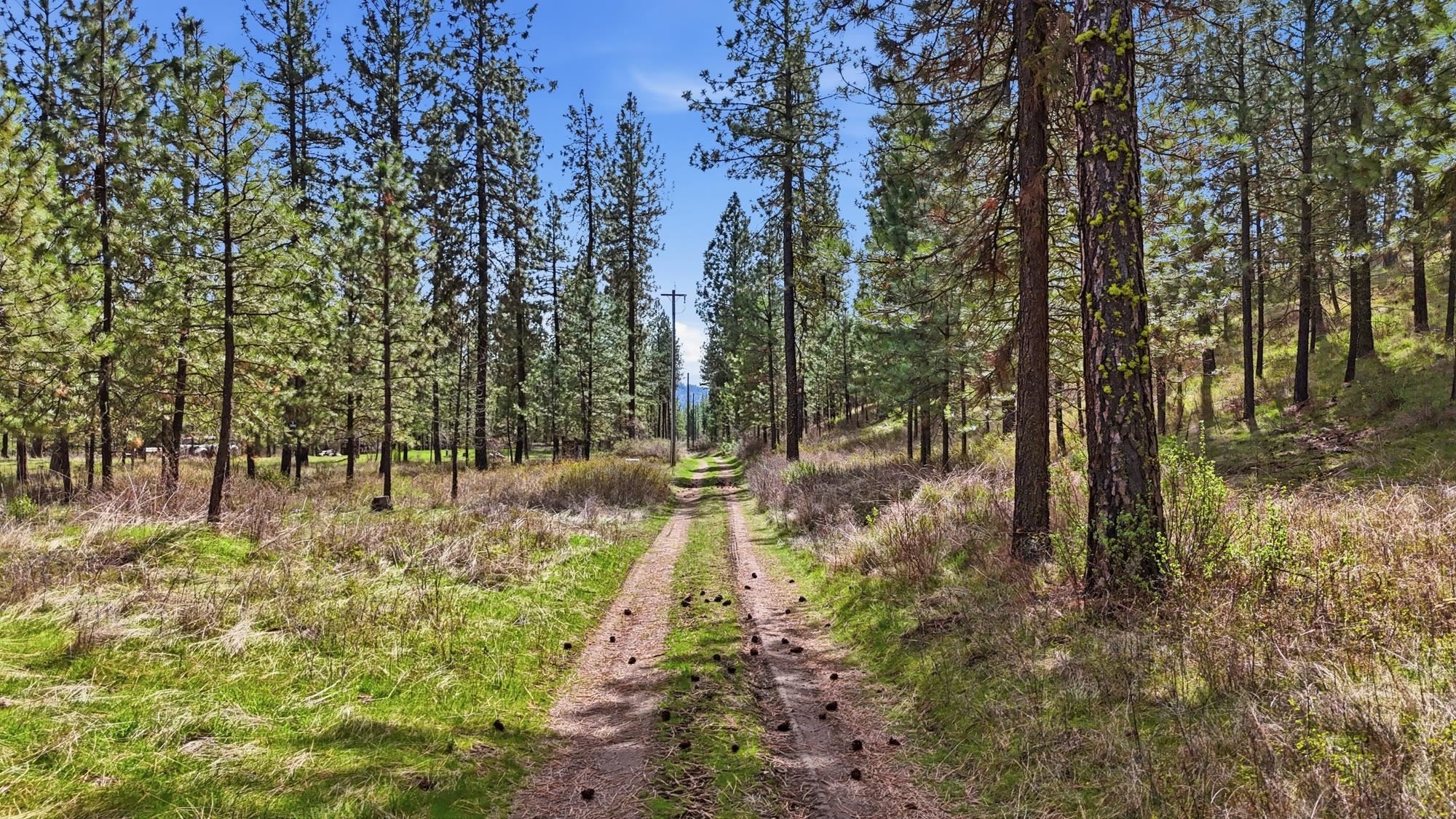 5182 Hunters Ridge Way - Photo 41