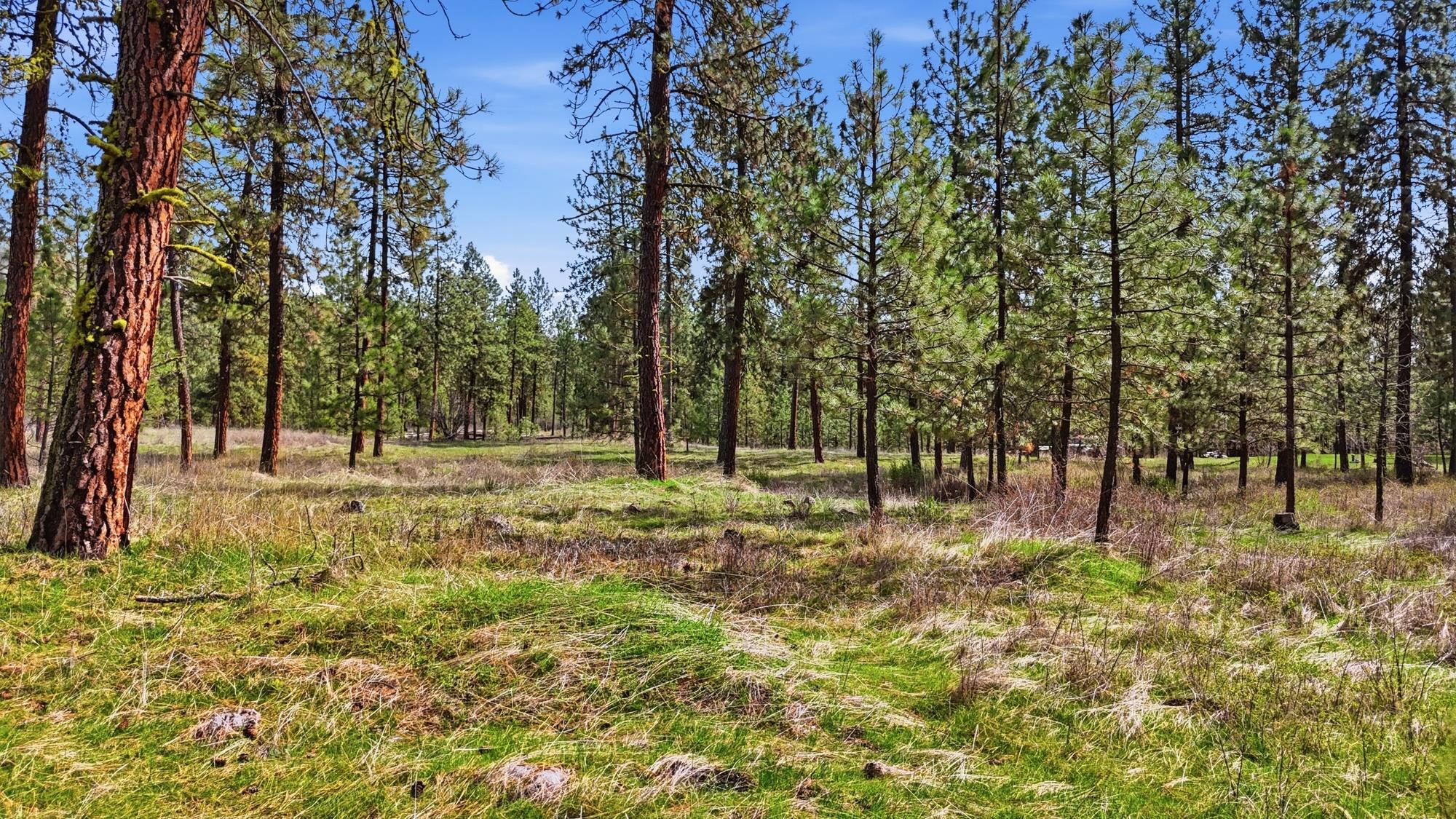 5182 Hunters Ridge Way - Photo 42