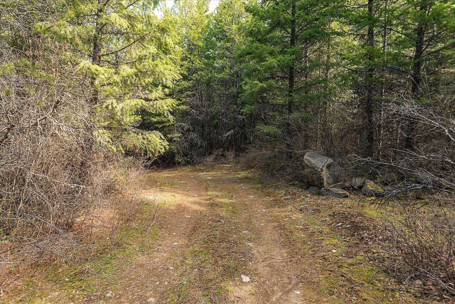 963 Thompson Rd - Photo 12