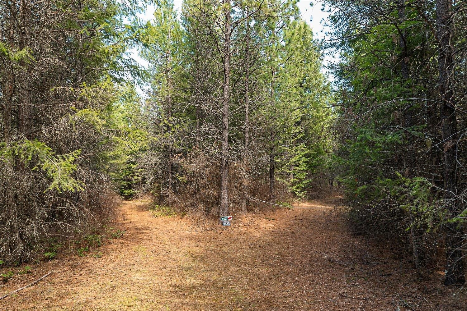 963 Thompson Rd - Photo 14