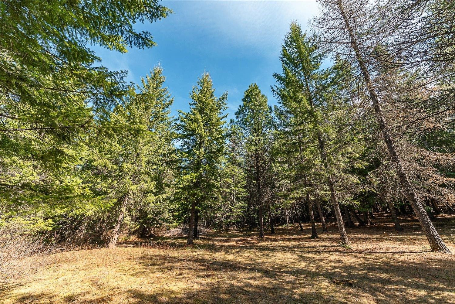 963 Thompson Rd - Photo 21