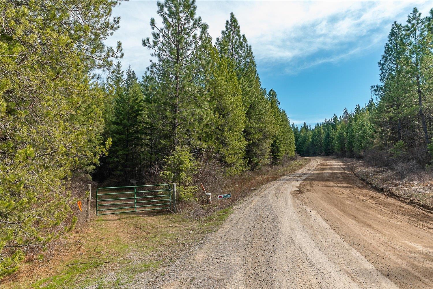 963 Thompson Rd - Photo 8