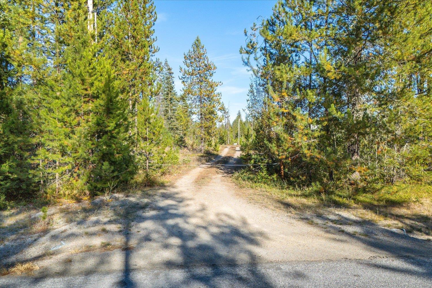 NKA Coyote Trail Trl - Photo 12