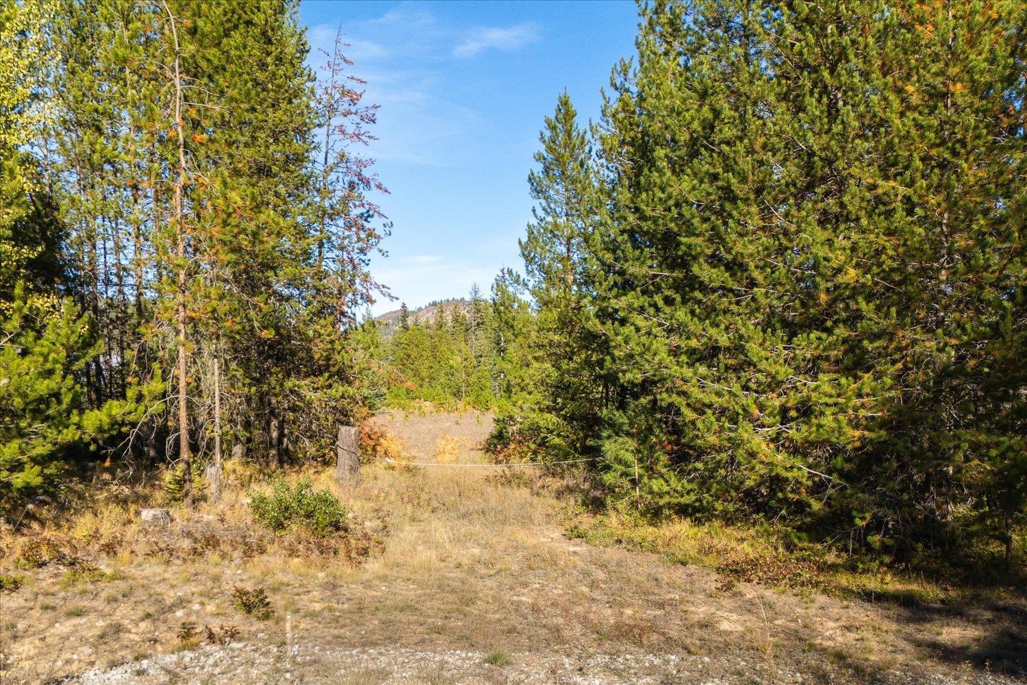 NKA Coyote Trail Trl - Photo 15