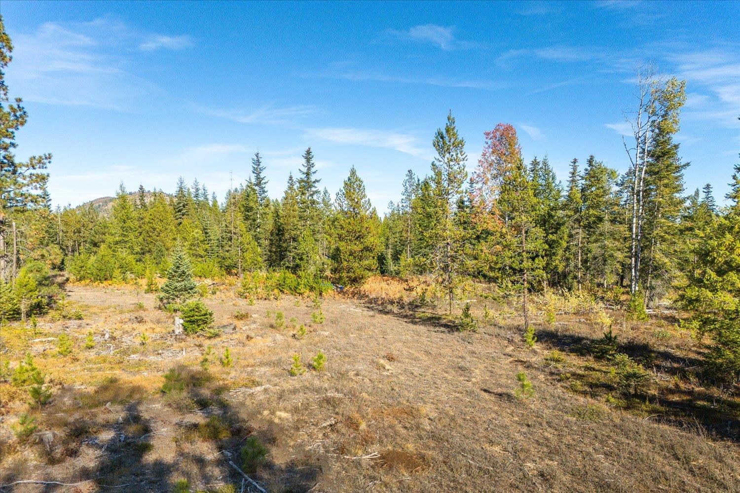 NKA Coyote Trail Trl - Photo 16
