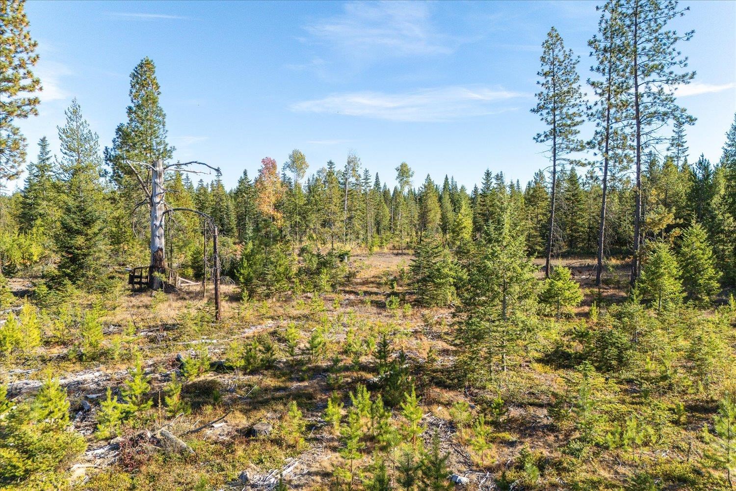 NKA Coyote Trail Trl - Photo 17