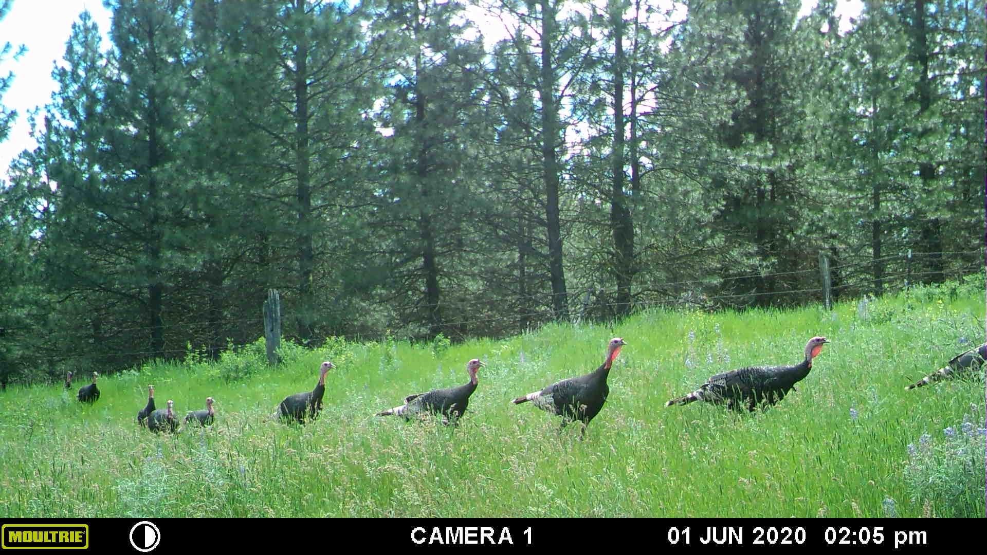 XXX Egypt Loop Rd. E. - Photo 16