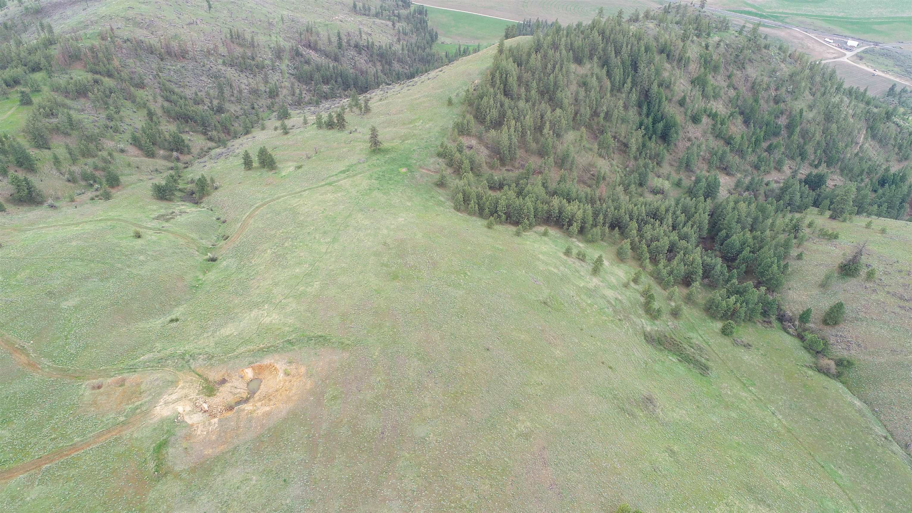 XXX Egypt Loop Rd. E. - Photo 10