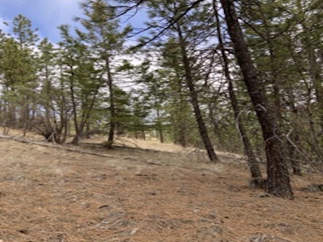 31755 E Gambel Ln - Photo 2