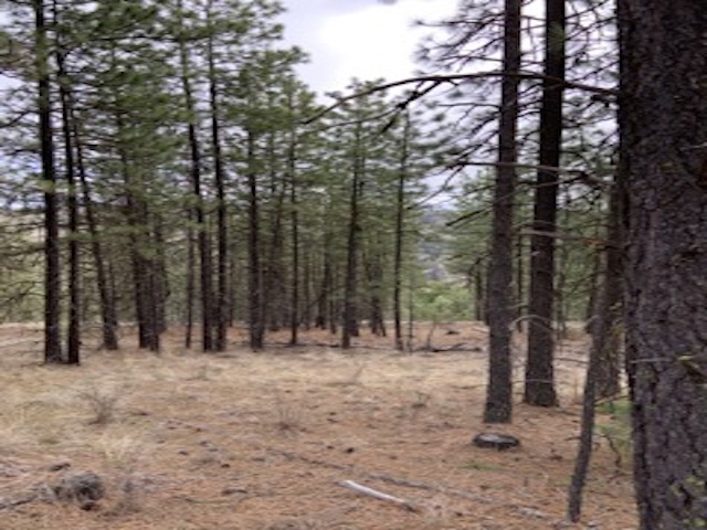 31755 E Gambel Ln - Photo 5