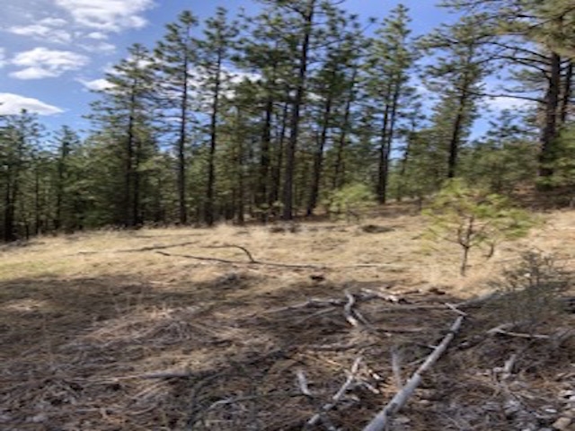 31755 E Gambel Ln - Photo 9