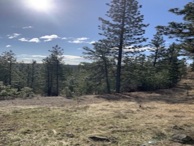 31755 E Gambel Ln - Photo 10