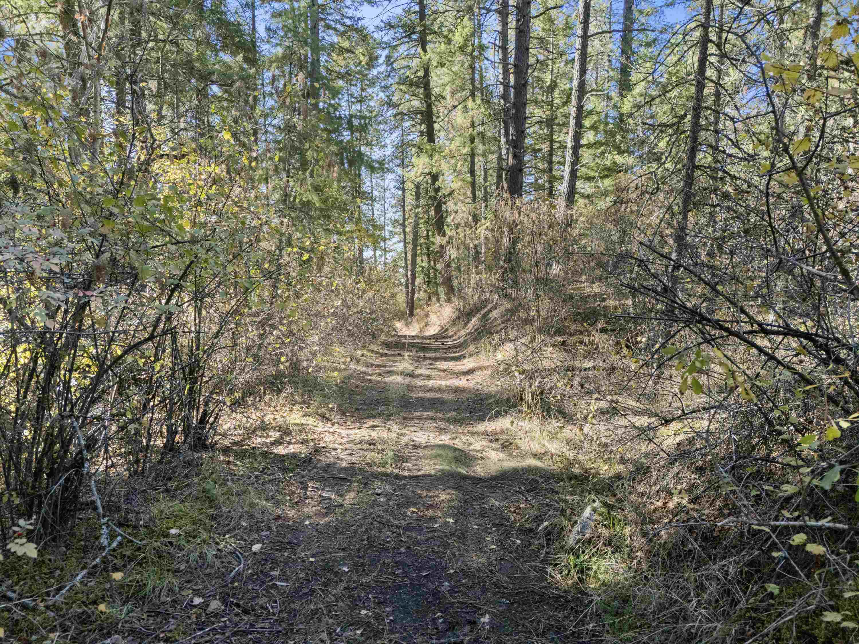 NNA N Madison Rd - Photo 10