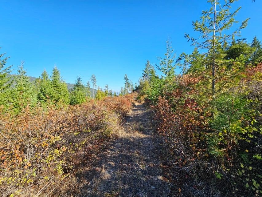 25XX Burgess Rd - Photo 11
