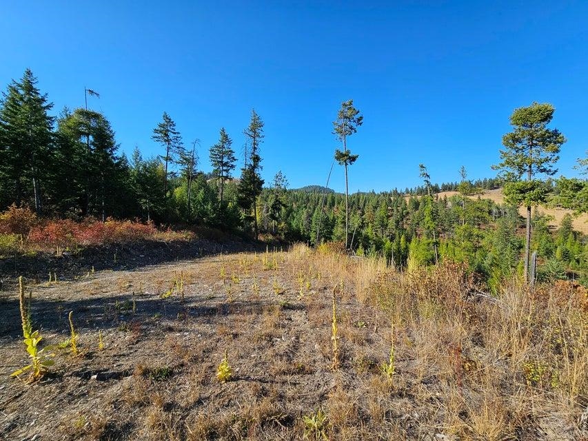 25XX Burgess Rd - Photo 16
