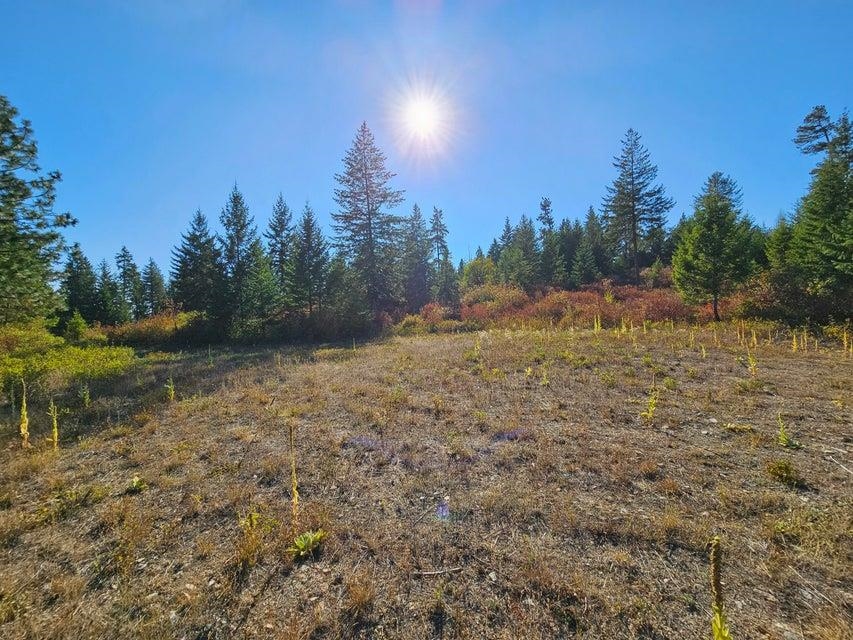 25XX Burgess Rd - Photo 19