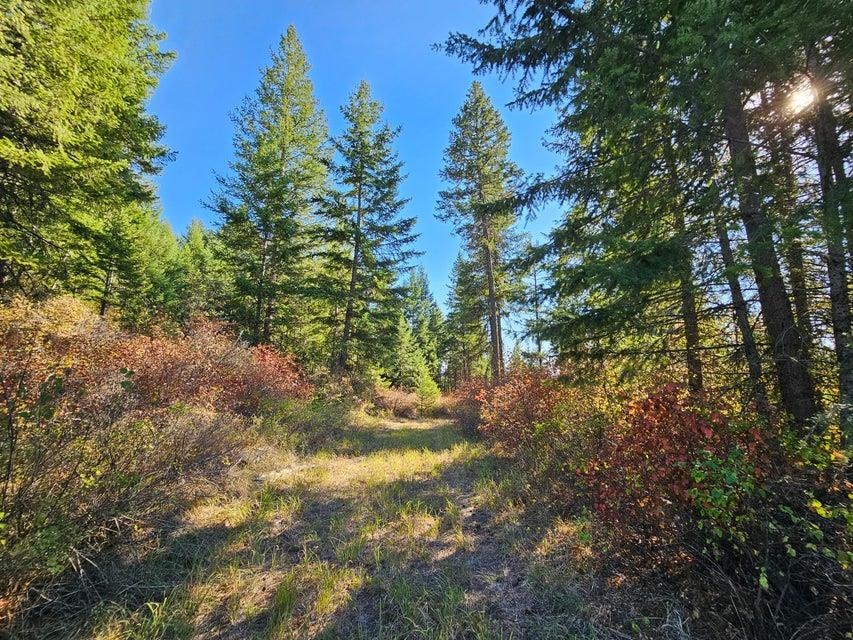 25XX Burgess Rd - Photo 22