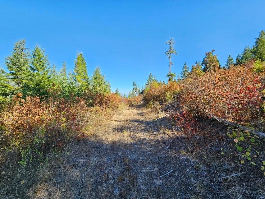25XX Burgess Rd - Photo 24