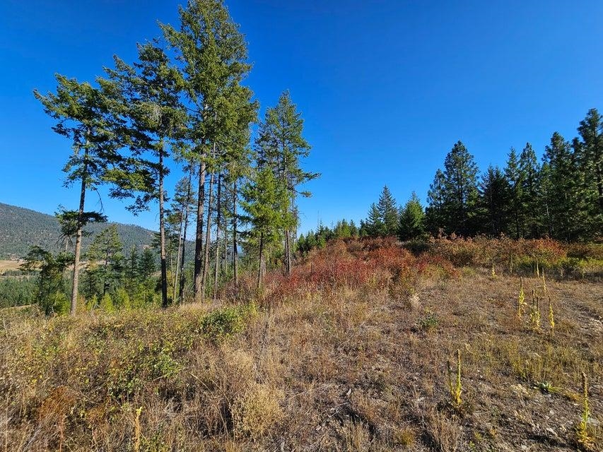 25XX Burgess Rd - Photo 25