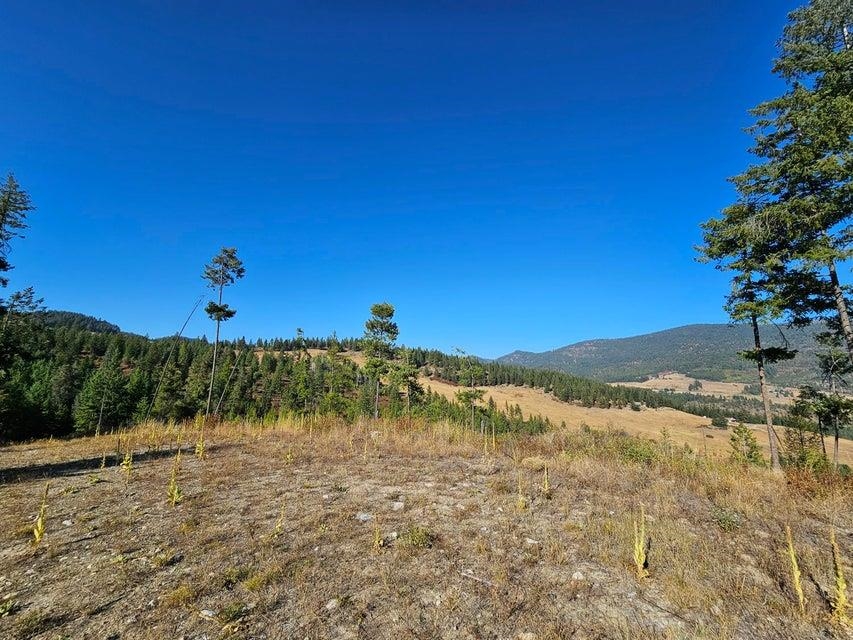 25XX Burgess Rd - Photo 26