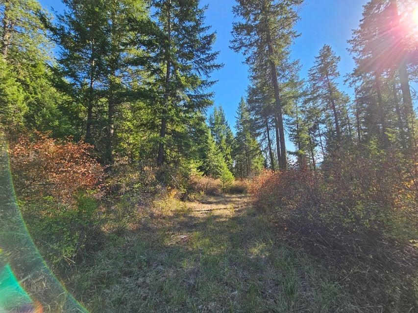 25XX Burgess Rd - Photo 5
