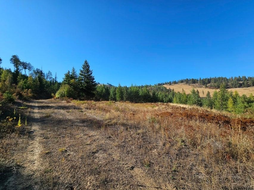 25XX Burgess Rd - Photo 8