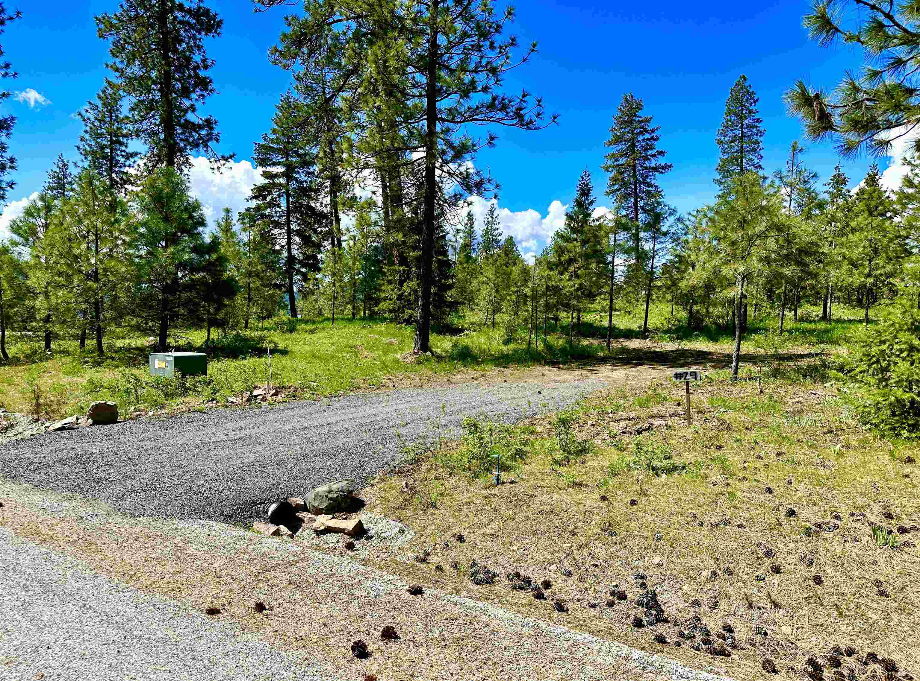 1649 Palmer Loop - Photo 1