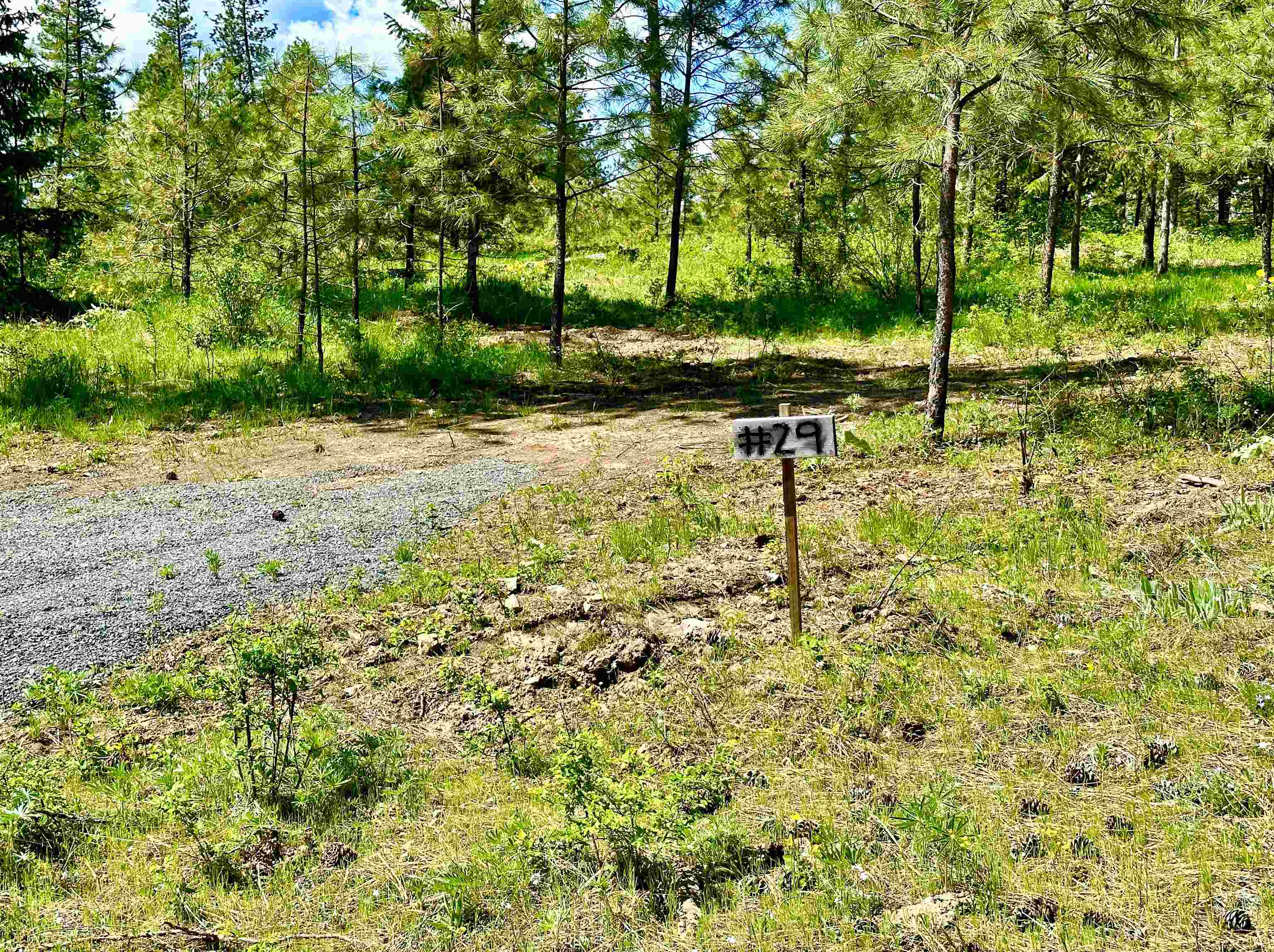 1649 Palmer Loop - Photo 2