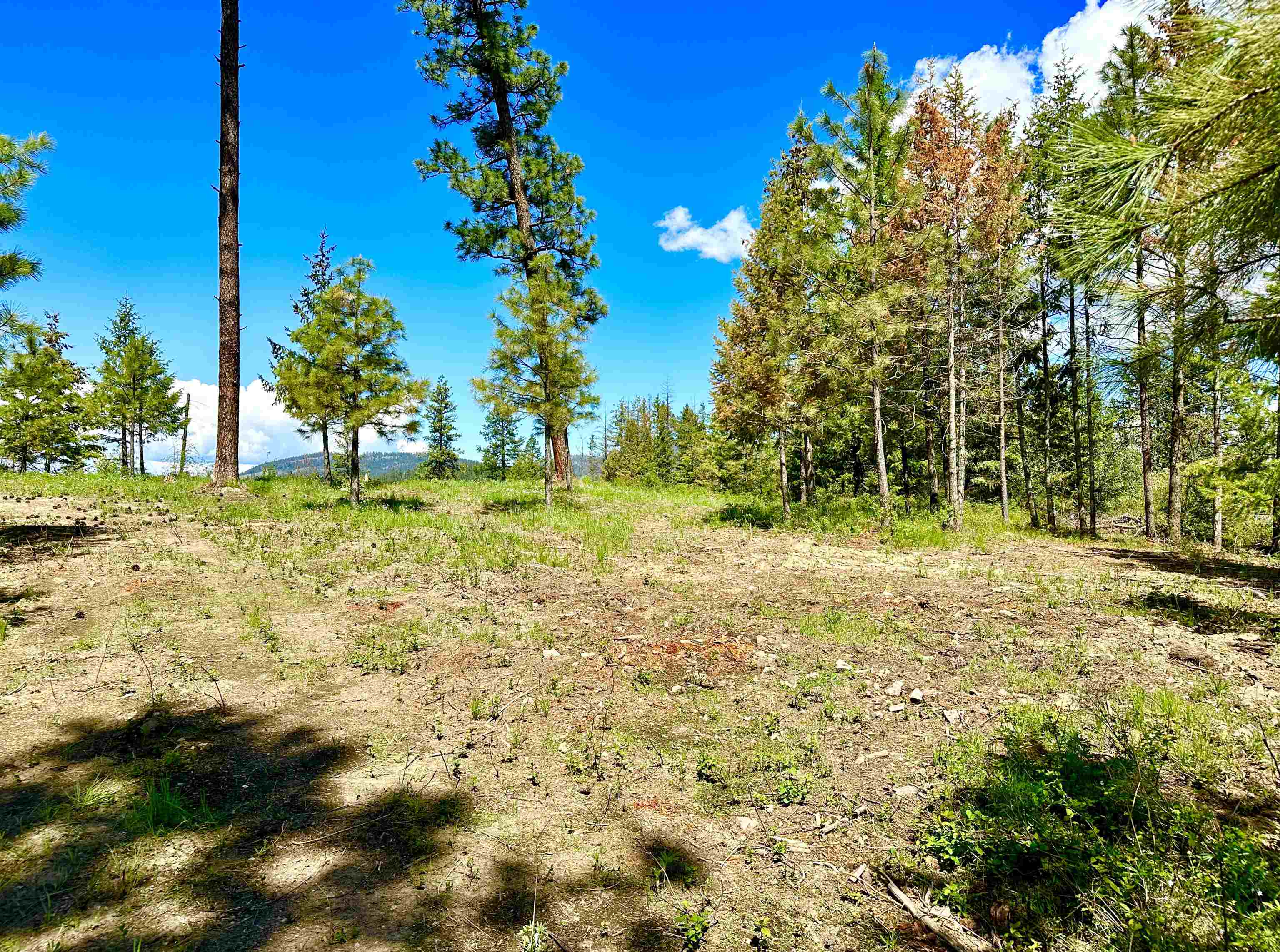 1649 Palmer Loop - Photo 15