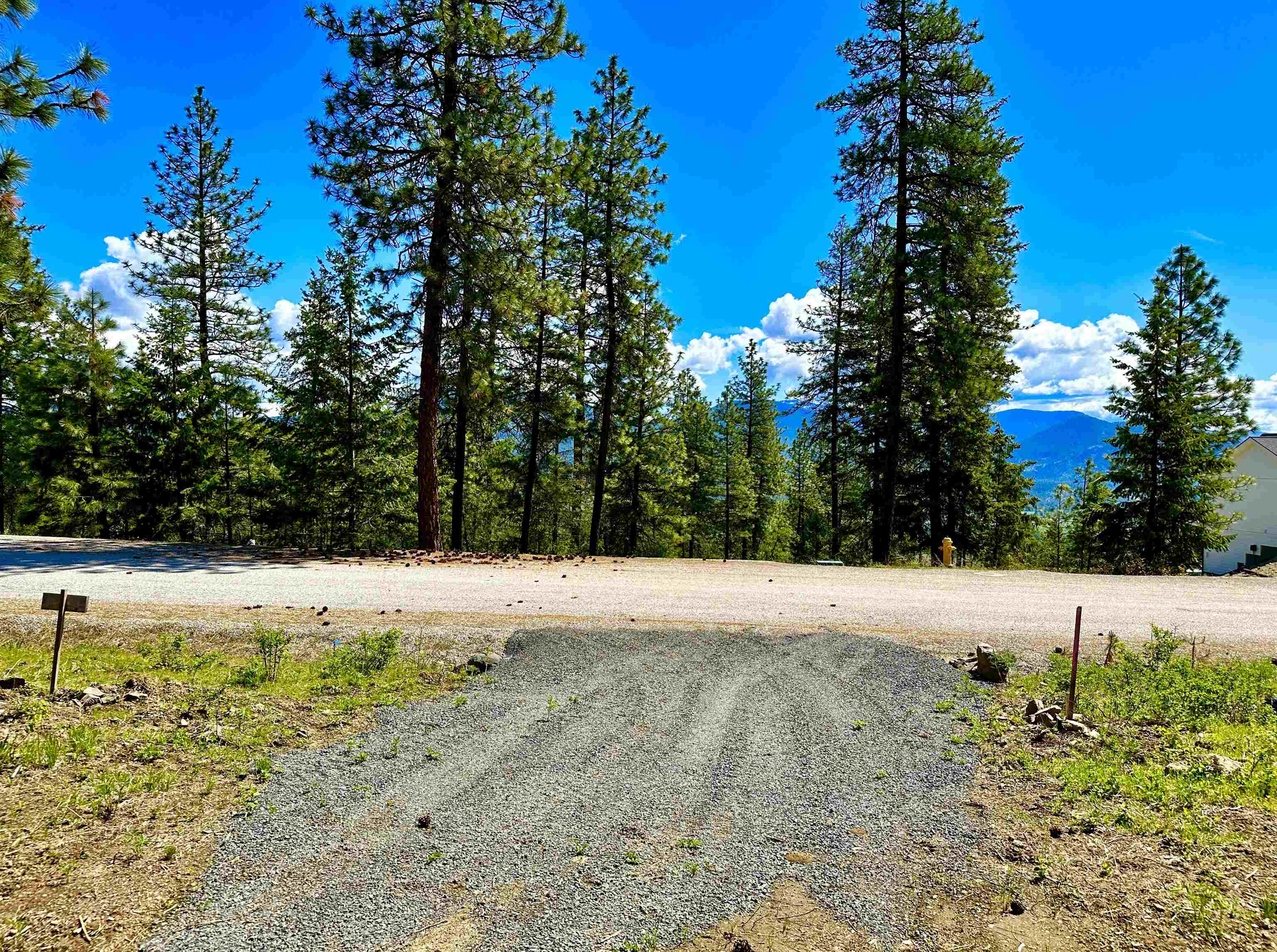 1649 Palmer Loop - Photo 3