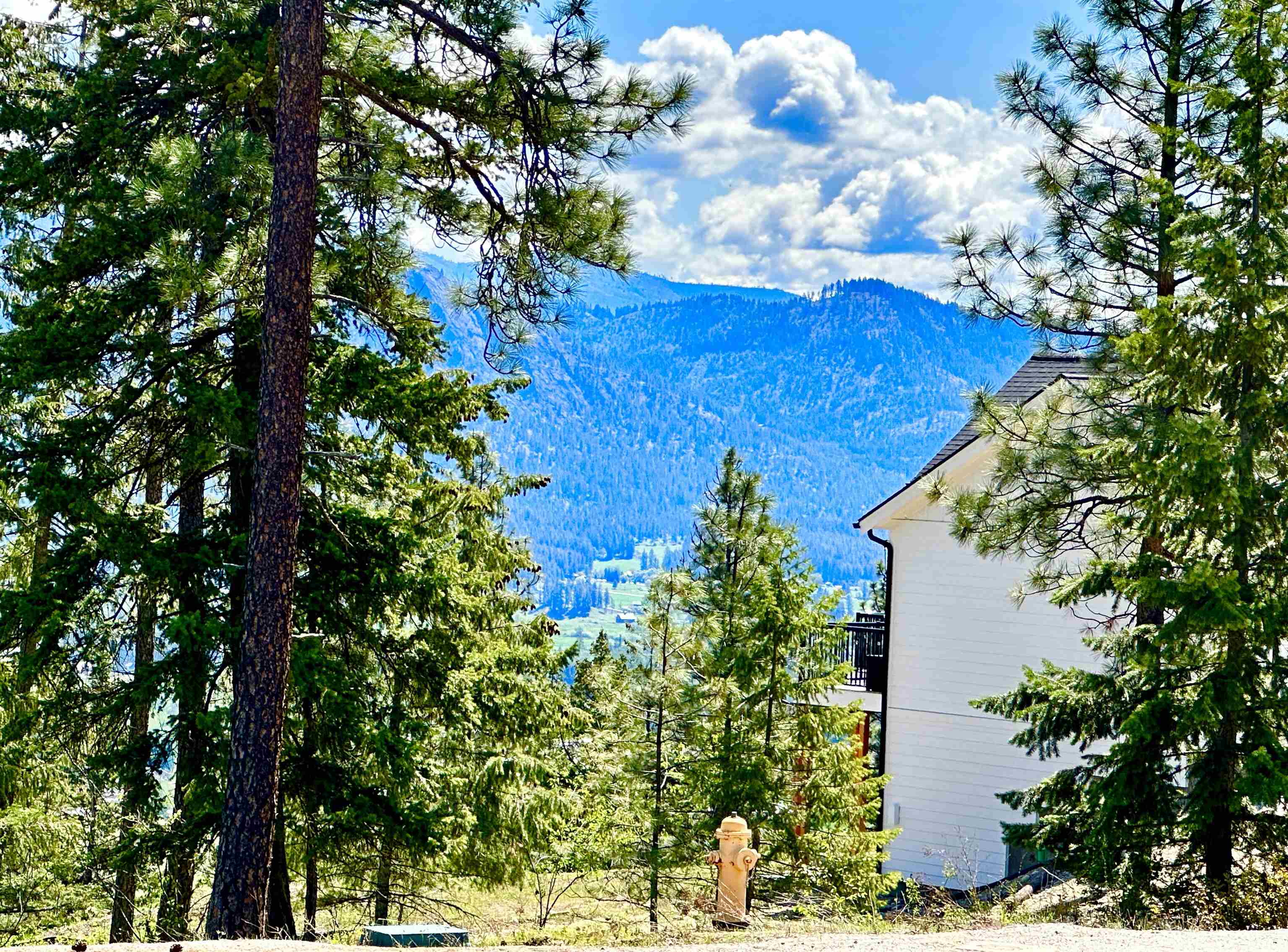 1649 Palmer Loop - Photo 21