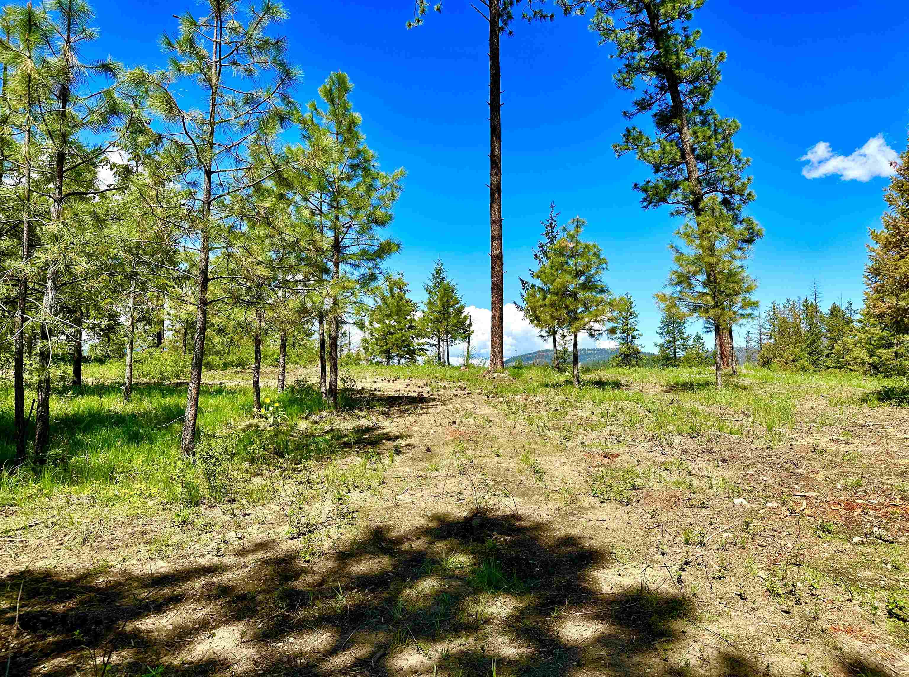 1649 Palmer Loop - Photo 22