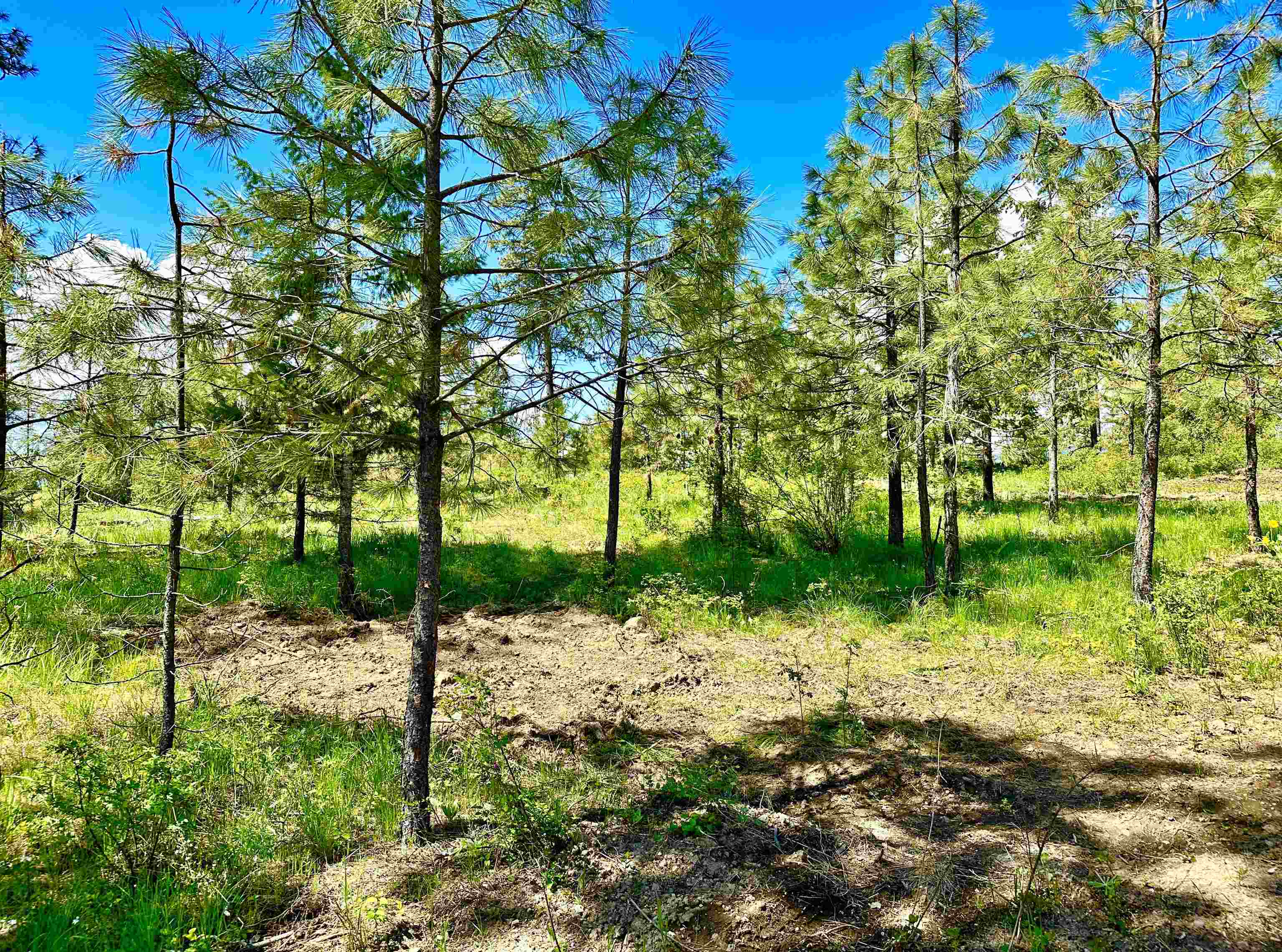 1649 Palmer Loop - Photo 23