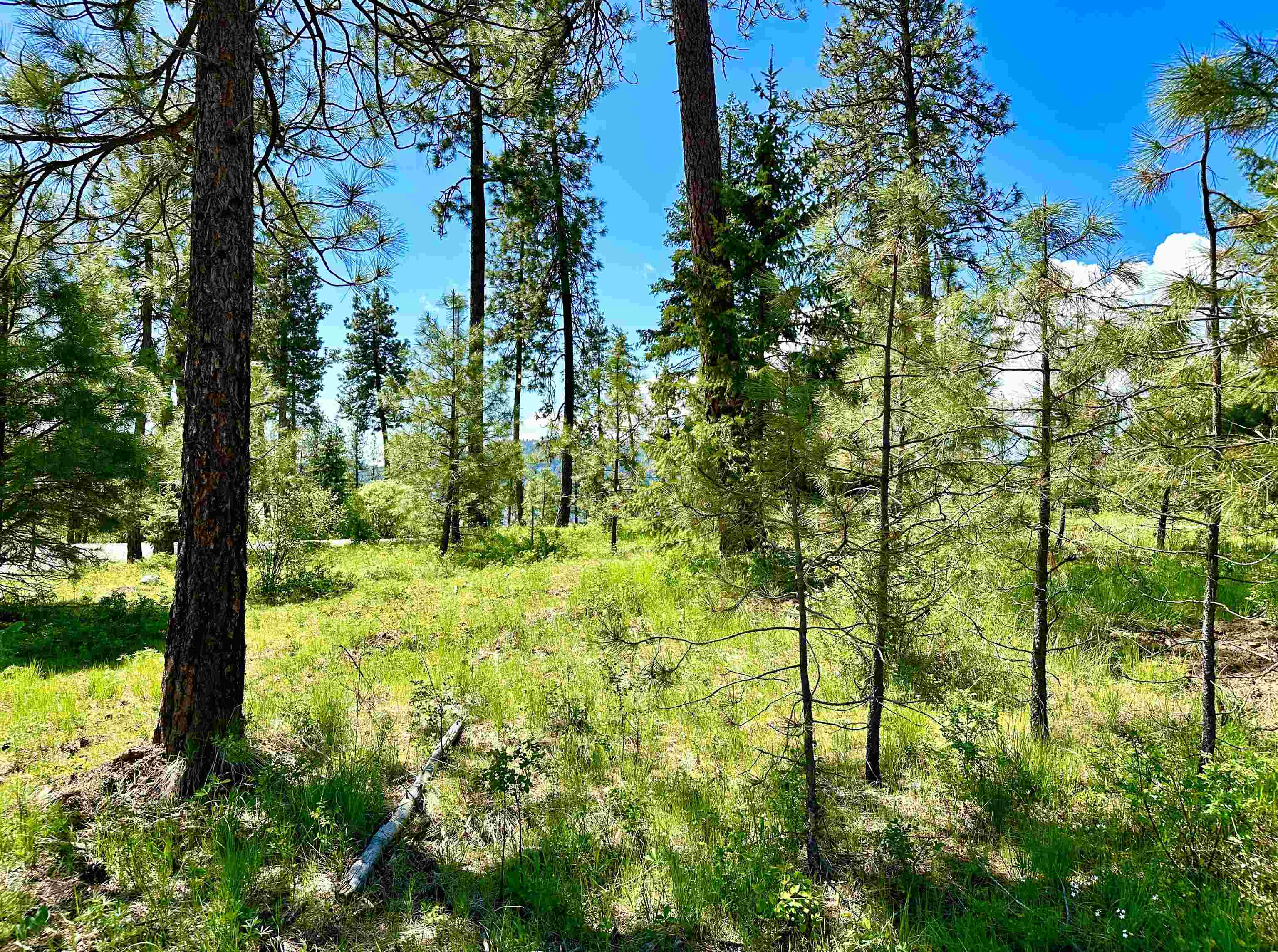 1649 Palmer Loop - Photo 24