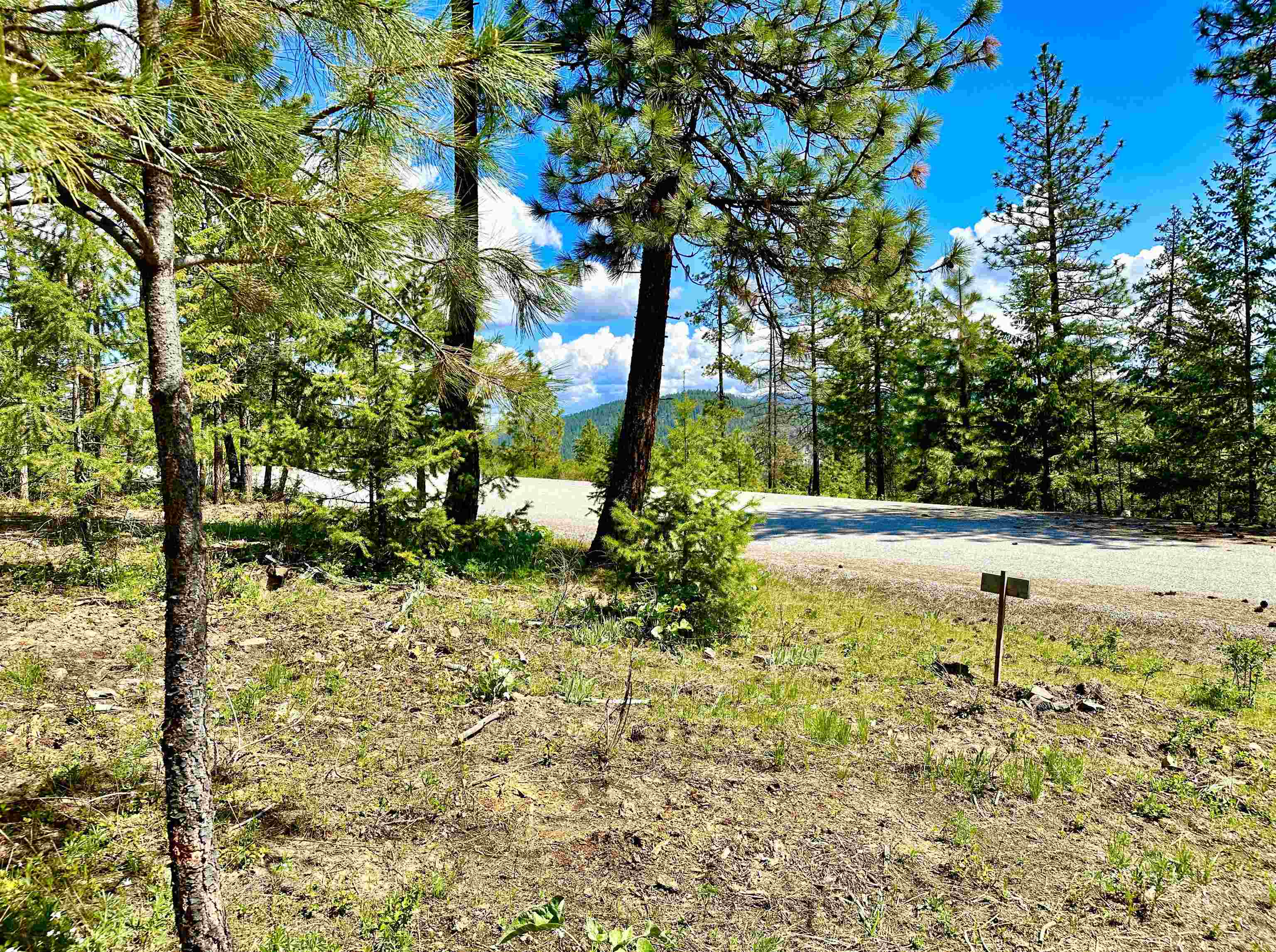 1649 Palmer Loop - Photo 25