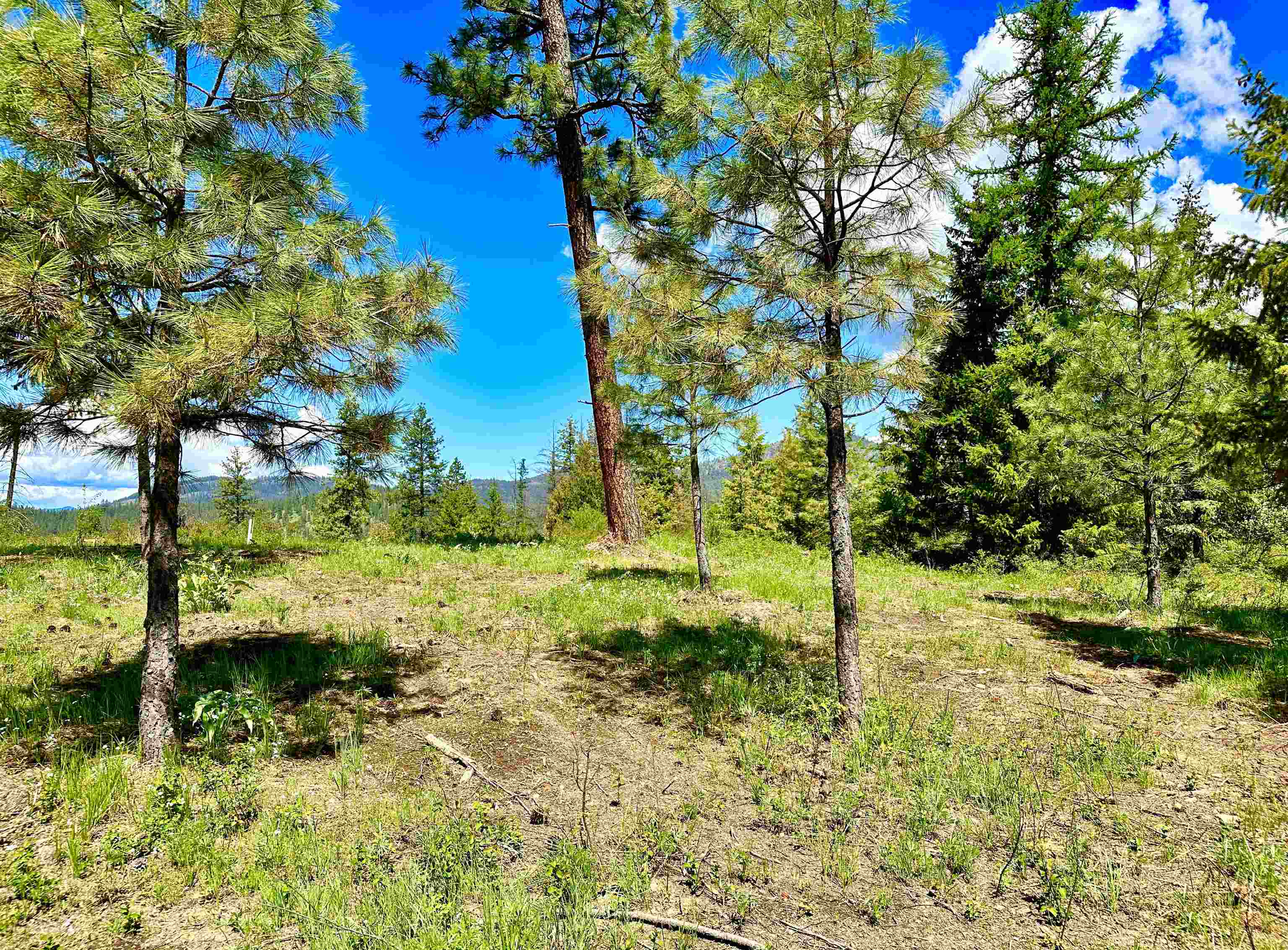 1649 Palmer Loop - Photo 27