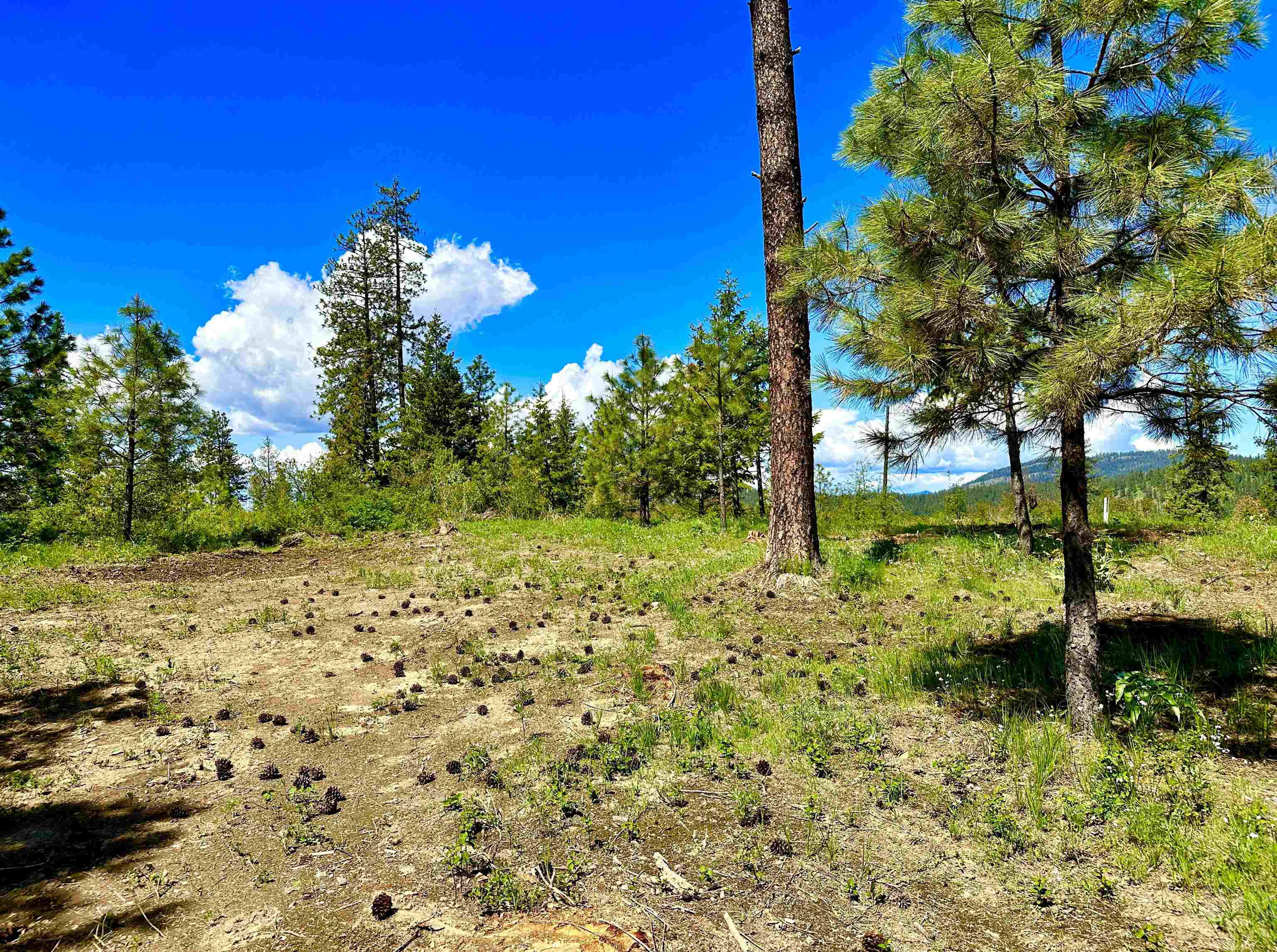 1649 Palmer Loop - Photo 28