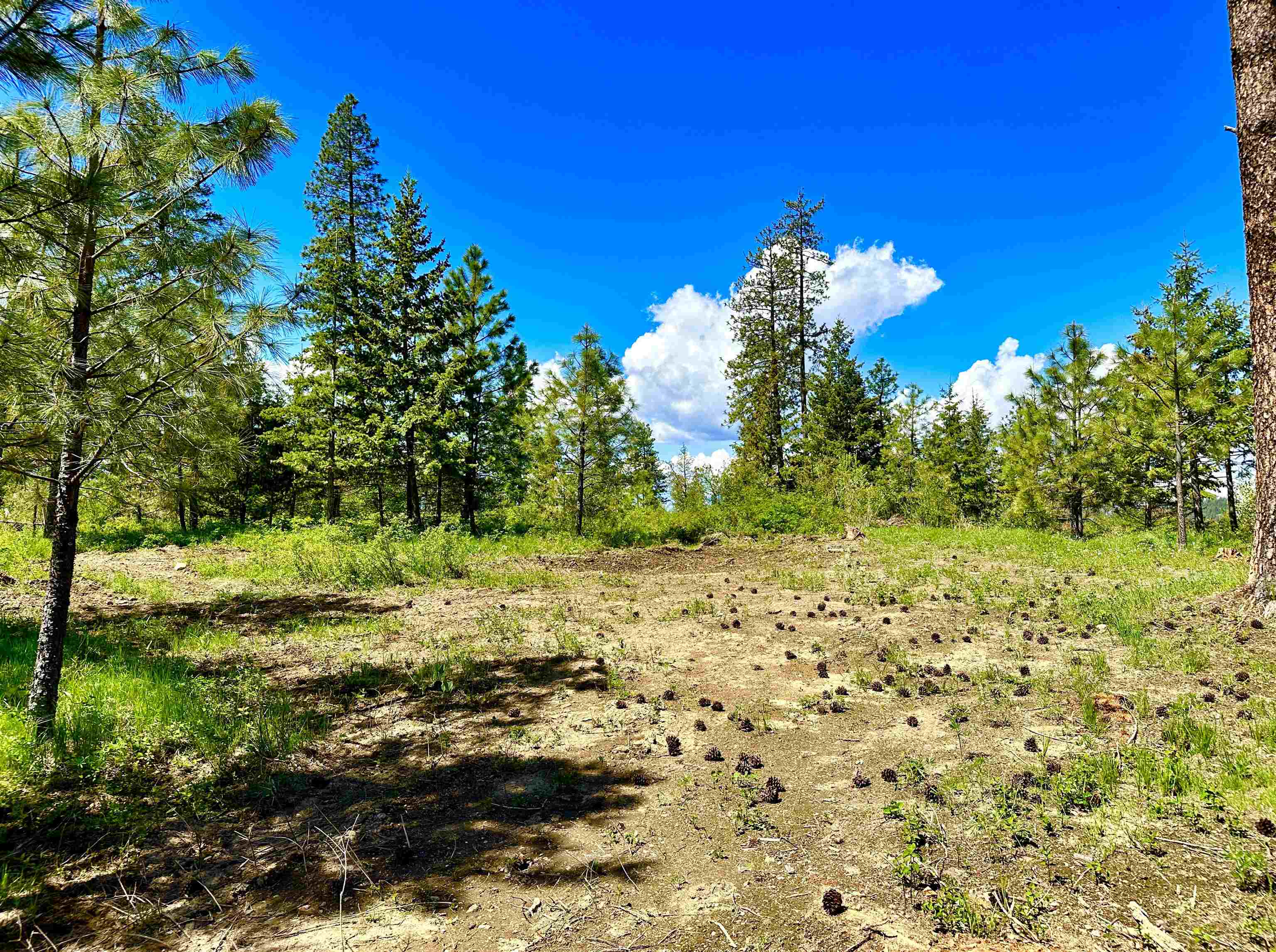 1649 Palmer Loop - Photo 29