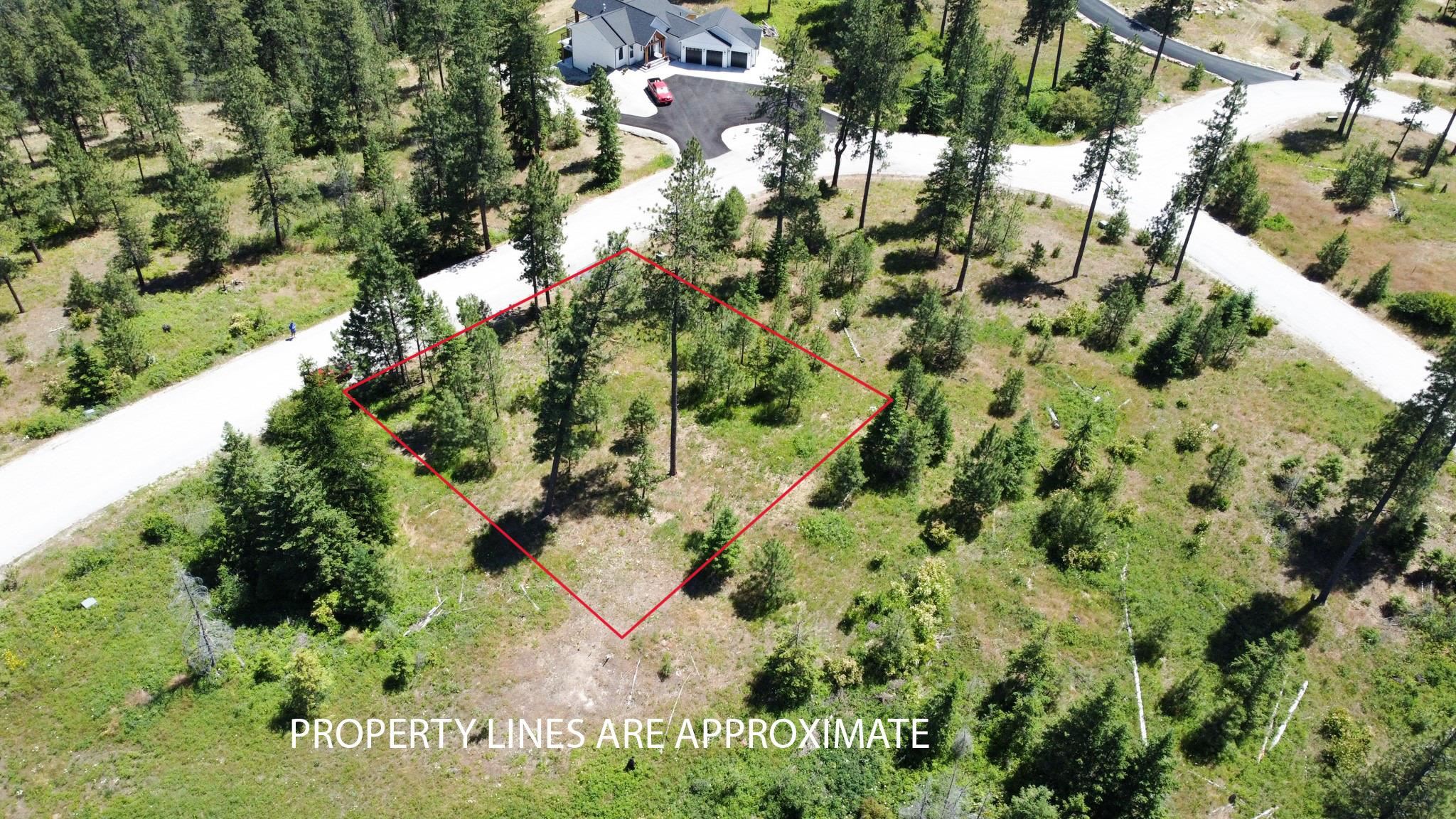 1649 Palmer Loop - Photo 4